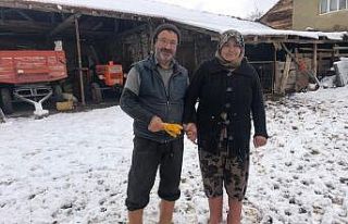 Kar altında el ele hayvanlarına böyle bakıyorlar