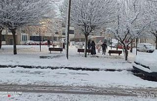 Kar keyfi kısıtlamayı yendi