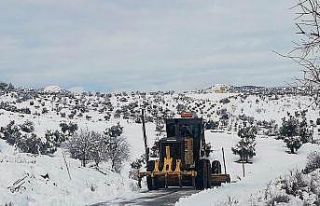 Kar nedeniyle kapanan 12 köy yolu ulaşıma açıldı