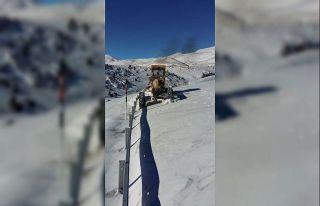 Kar nedeniyle kapanan 539 mahalle yolu ulaşıma açıldı