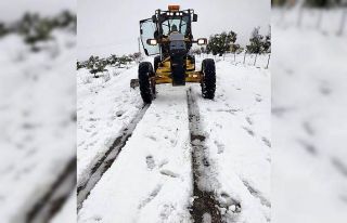Kar nedeniyle kapanan 5 köy yolu ulaşıma açıldı