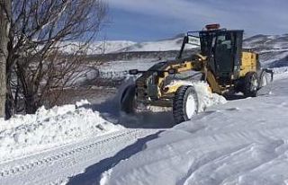 Kar yağışı 21 köy yolunu ulaşıma kapattı