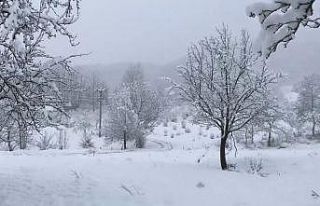 Kar yağışı, Dikmen Yaylası’nda seyrine doyumsuz...