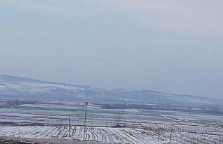 Kar yağışı ekili tarım arazilerini olumlu etkiledi