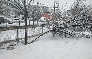 Kar yağışı elektrik direklerini devirdi