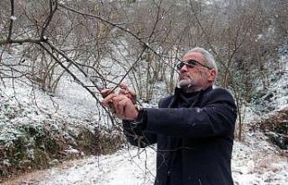 Kar yağışı fındık üreticisini sevindirdi