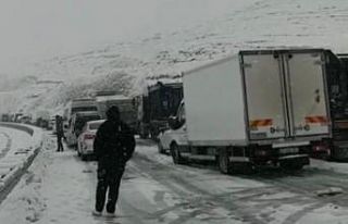 Kar yağışı hayatı felç etti, Mardin-Diyarbakır...