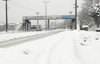 Kar yağışı tüm şehri esir aldı
