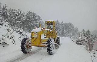 Karabük’te 106 köye kar engeli