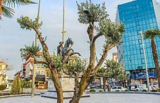 Karacabey zeytincilikte de iddialı