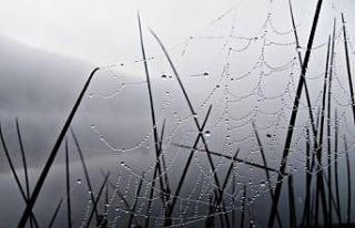 Karatay Kent Konseyi’nin fotoğraf yarışması...