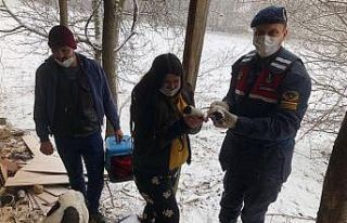 Karda mahsur kalan köpeklerin imdadına jandarma...