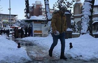 Karda ’penguen yürüyüşü’ hayat kurtarıyor