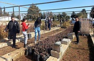 Kardeşler, sosyal medya üzerinden ağaç dikme kampanyası...