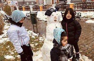 Karın tadını doyasıya çıkarttılar