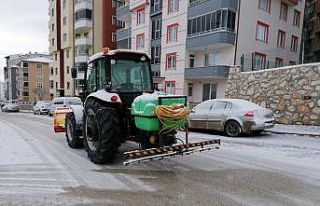 Karla mücadele için solüsyonlama çalışma