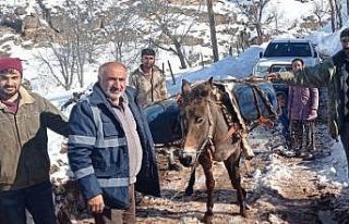 Karla mücadelede kesintisiz hizmet için katır sırtında...