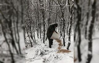 Karlı günlerde yaban hayvanları için doğaya 200...