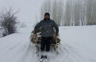Karlıova’da besicilerin kış mücadelesi