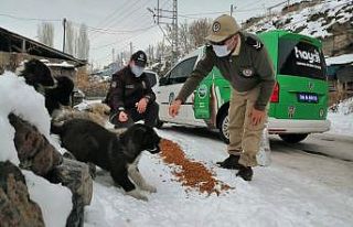 Kars’ta polis, sokak hayvanlarına yiyecek bıraktı