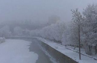 Kars’ta soğuktan sis ve kırağı oluştu