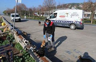 Kartal Belediyesi, 4 günlük kısıtlamada sokak...