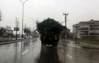 Kasasına yüklediği aşırı yük kazaya davetiye...