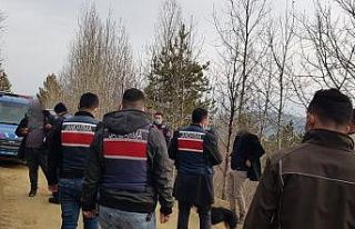 Kastamonu’da geyik avcıları suçüstü yakalandı