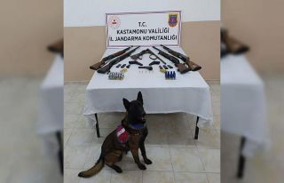 Kastamonu’da jandarmadan silah kaçakçısına operasyon