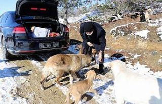 Kavak’ta can dostlar unutulmadı
