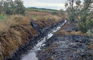 Kayaaltı’da bir kilometre dere temizliği yapıldı