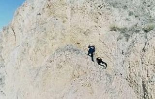 Kayalıklarda mahsur kalan keçileri AFAD kurtardı