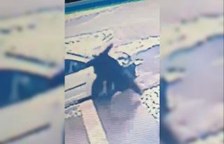 Kayıp düşen arkadaşına güldü, bir dakika sonra...