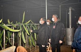 Kaymakam Şahin sera nöbeti tutan üreticileri yalnız...