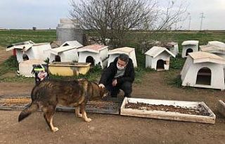 Kaymakam Taşçı ve Başsavcı Yiğiter, sokak hayvanlarını...