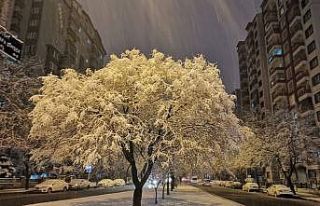 Kayseri’ye yılın ilk karı düştü