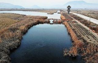 Kaz gölü kısmen buz tuttu