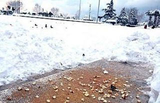 Kdz. Ereğli Belediyesi 75 noktada besleme çalışması...