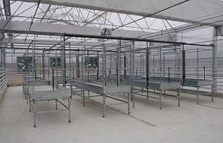 Keçiören’deki modern seraya ’Akıllı İklimlendirme...