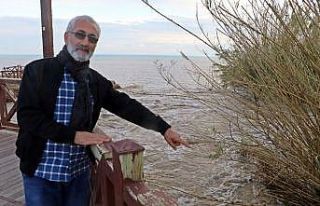 Kedileri kovalayan Alman kurdu köpek Düden Şelalesi’nden...