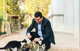 Kepez’de hayvan hastanesi açılacak