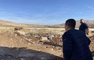 Kesime götürülen inek ortalığı birbirine kattı