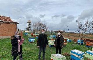 Kırklareli’de arıcılar denetlendi