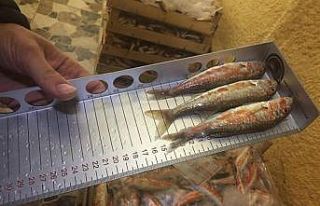 Kırklareli’de su ürünleri denetlendi