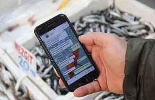 Kısıtlama günlerinde “Alo Balık Hattı” devrede