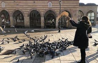 Kısıtlamada özel izinle kuş ve sokak hayvanlarını...