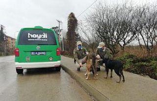 Kısıtlamada sokak hayvanlarını beslediler