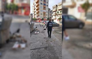 Kısıtlamada, sokakta yaşayan canlılar unutulmadı