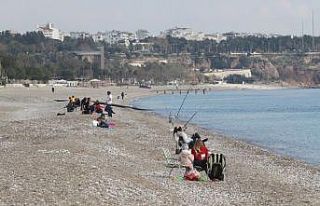 Kısıtlamayı ihlal eden 491 kişiye ceza yağdı