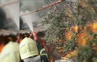 Kışlıklarının yanışını gözyaşlarıyla izledi